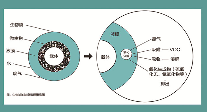 生物除臭工作原理 生物除臭工作原理