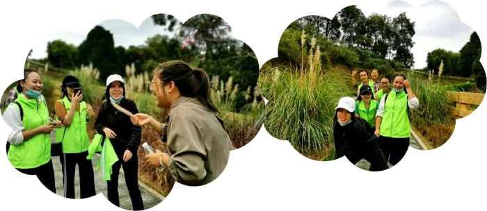 ab0e5179b6b7c07a17dde82ad9bd88f3_5fb37dd8cadca ab0e5179b6b7c07a17dde82ad9bd88f3_5fb37dd8cadca